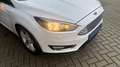 Ford Focus Wagon 125pk Titanium D. RIEM V.V. | CLIMA | CRUISE Weiß - thumbnail 22