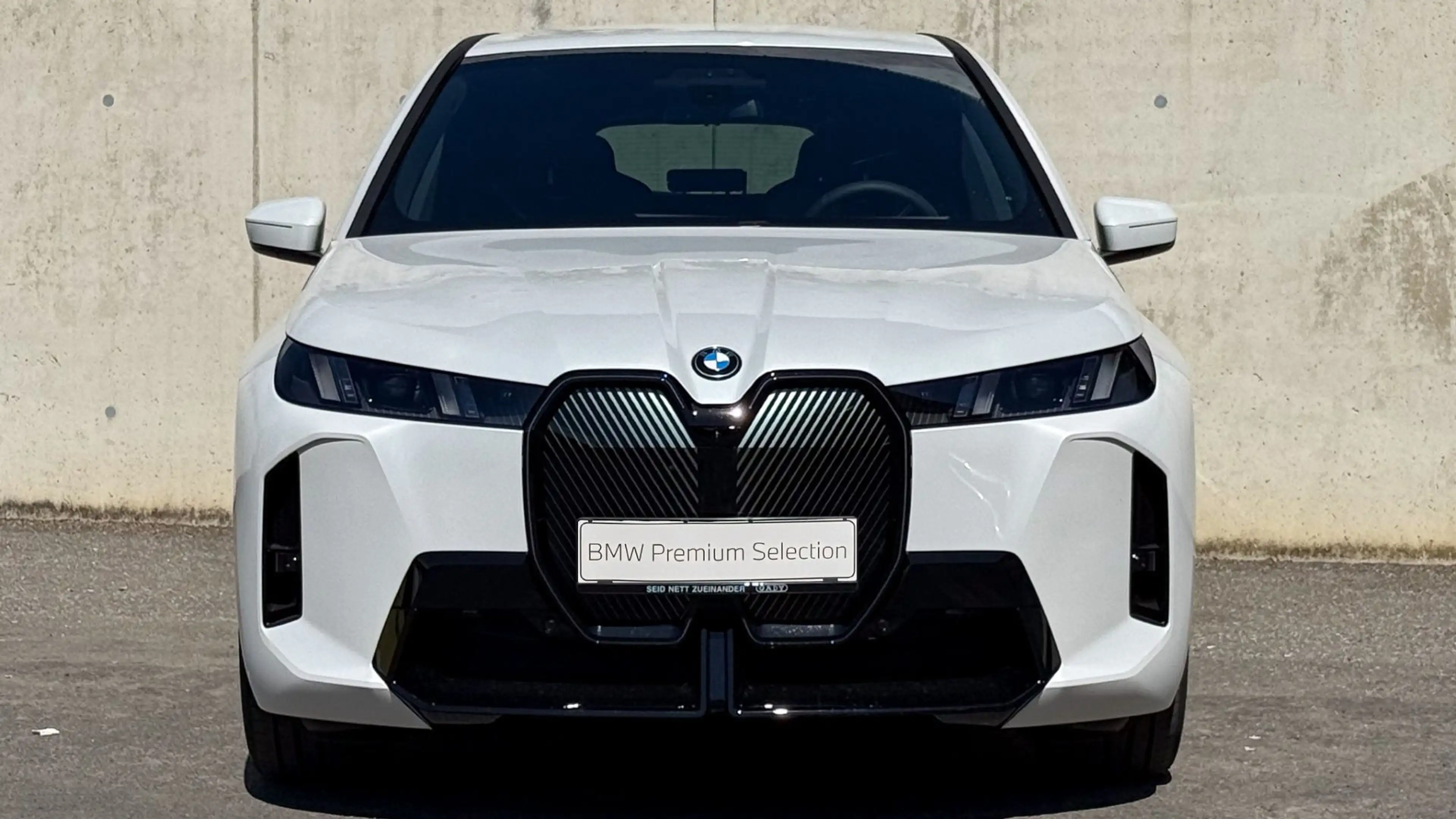 BMW iX xDrive45 M-Sportpaket — photo 2