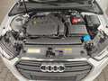 Audi A3 35 TFSI basis Weiß - thumbnail 16