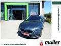 Skoda Octavia Combi Style iV 1.4TSI el. HK beh. FS Gris - thumbnail 1