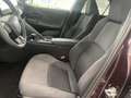 Toyota C-HR 1.8 HYBRID CVT DYNAMIC PLUS Rood - thumbnail 12