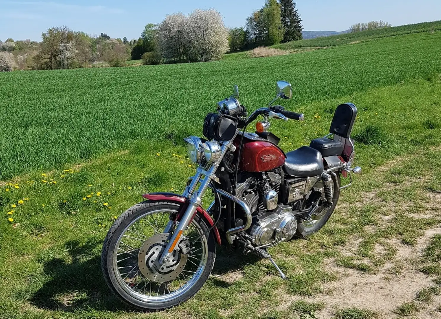 Harley-Davidson 1200 Custom XL1 - 1