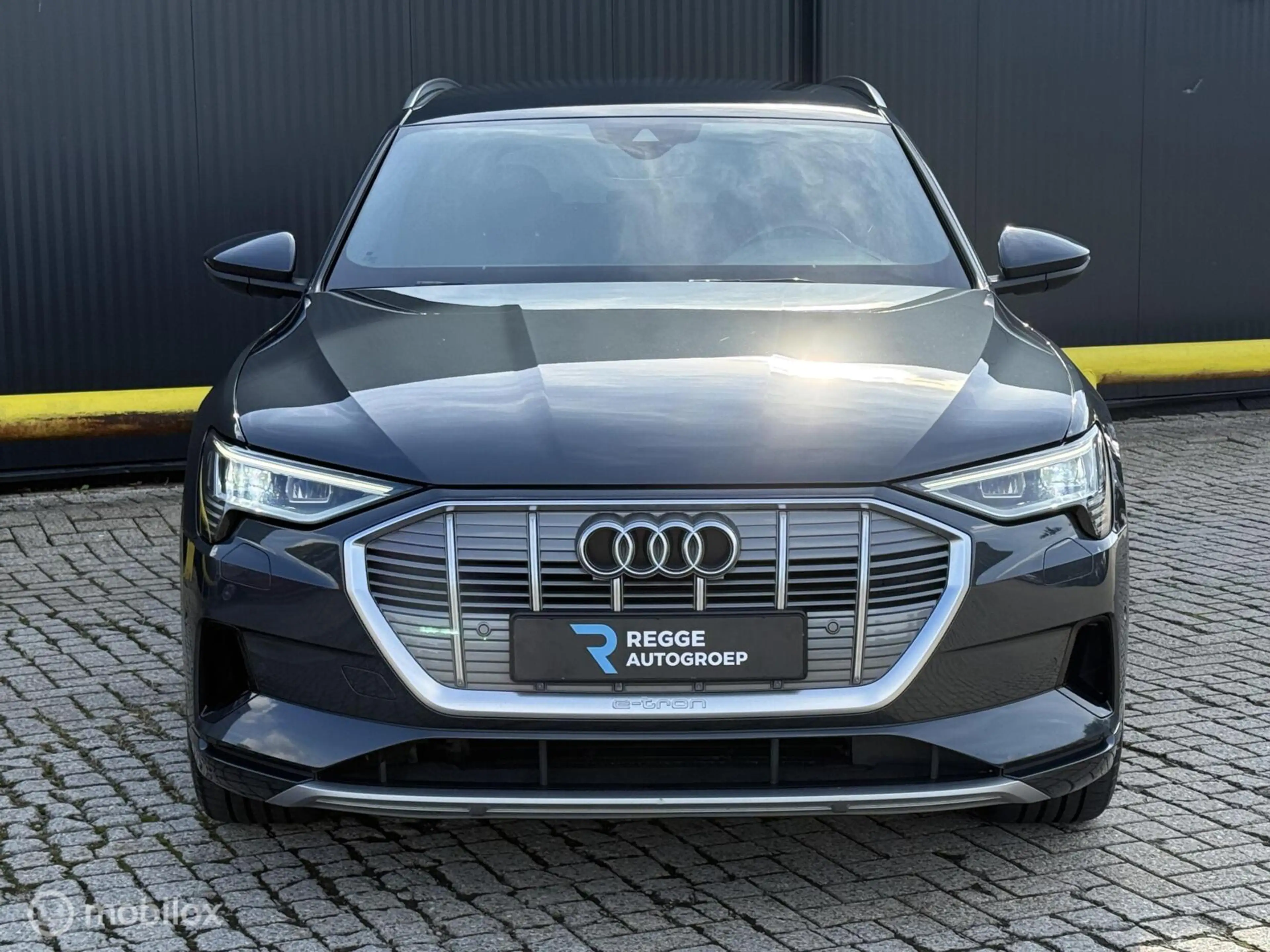 Audi e-tron 55 quattro Business edition Plus 95 kWh SOH 90% — photo 5