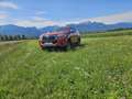 Toyota Hilux Portocaliu - thumbnail 2