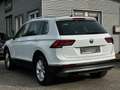 Volkswagen Tiguan 1.4 TSI Highline 4 Motion/AHK/ALLRAD Weiß - thumbnail 8