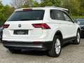 Volkswagen Tiguan 1.4 TSI Highline 4 Motion/AHK/ALLRAD Weiß - thumbnail 6