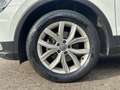 Volkswagen Tiguan 1.4 TSI Highline 4 Motion/AHK/ALLRAD Weiß - thumbnail 10