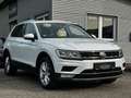 Volkswagen Tiguan 1.4 TSI Highline 4 Motion/AHK/ALLRAD Weiß - thumbnail 1