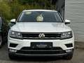 Volkswagen Tiguan 1.4 TSI Highline 4 Motion/AHK/ALLRAD Weiß - thumbnail 2