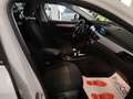 BMW X2 xDrive20d 190cv Business-X auto Navi Cruise 18” Blanc - thumbnail 48