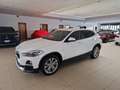 BMW X2 xDrive20d 190cv Business-X auto Navi Cruise 18” Blanc - thumbnail 1