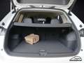 Volkswagen Tiguan Life 1.5eTSI DSG LEDPlus AppCon ACC SHZ LED Weiß - thumbnail 7