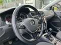 Volkswagen Golf 1.4 TGI 5p. Executive BlueMotion Argento - thumbnail 14