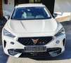 CUPRA Formentor 2,0 TSI 4Drive DSG Weiß - thumbnail 1