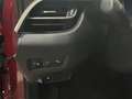 Toyota C-HR 125H Advance Burdeos - thumbnail 14
