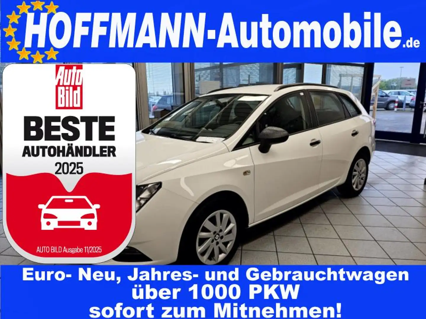 SEAT Ibiza Alufelgen,Dachreling,Tempomat,Klima Alb - 1