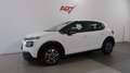 Citroen C3 BlueHDi 100 S&S Feel Bianco - thumbnail 9