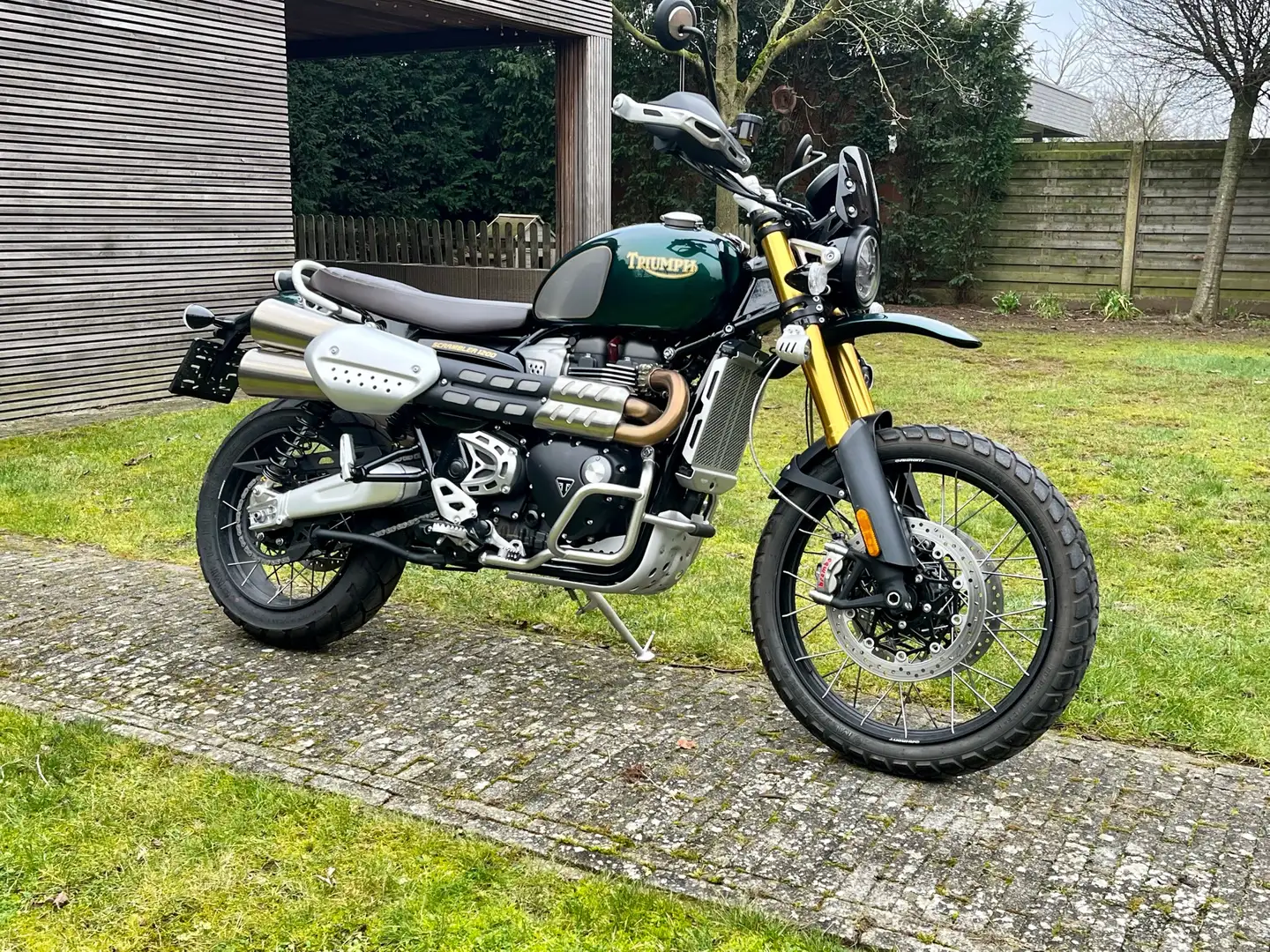 Triumph Scrambler 1200 XE Steve McQueen Groen - 1