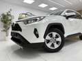 Toyota RAV 4 2.5 hybrid 4WD Business Blanc - thumbnail 3