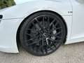 Audi R8 R8 Coupé 5,2 FSI quattro S-tronic Weiß - thumbnail 11
