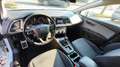 SEAT Leon 1.6 TDI 110 CV ST Start/Stop Business Wit - thumbnail 12