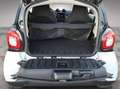 smart forTwo coupe passion DCT Bianco - thumbnail 7