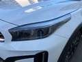Kia XCeed GOLD 18' Aluräder, JBL Soundsystem Weiß - thumbnail 13