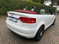 Audi A3 Cabriolet Attraction Blanco - thumbnail 7