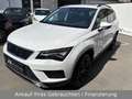 SEAT Ateca Style 1.Hand ACC/ALU/SHZ/NAV/APPLECARPLAY Blanc - thumbnail 3