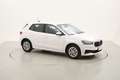 Skoda Fabia Ambition 1.0 Benzina 80CV Bianco - thumbnail 7