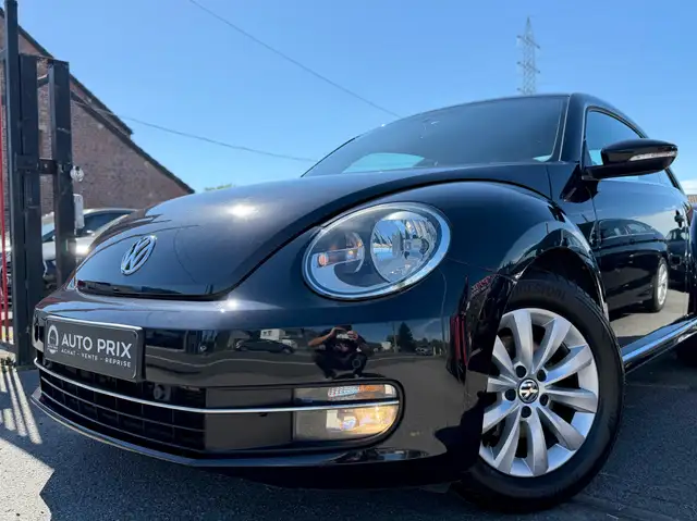 Volkswagen Beetle view 12