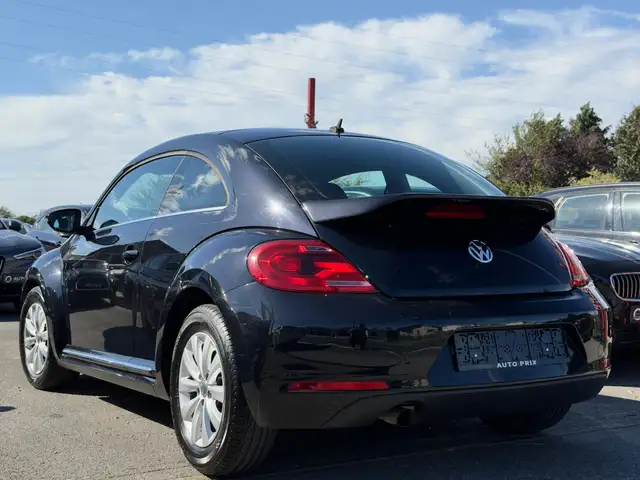 Volkswagen Beetle view 5