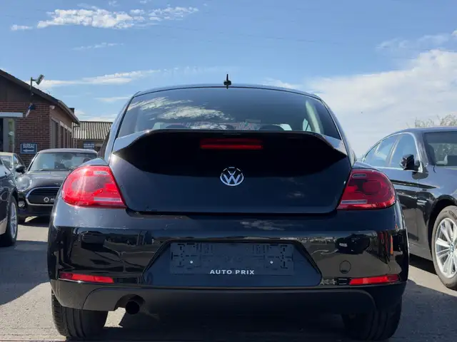 Volkswagen Beetle view 6
