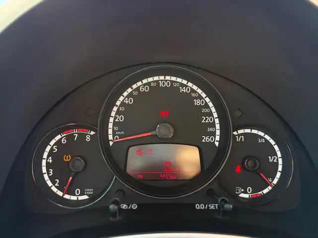 Volkswagen Beetle view 16