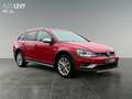 Volkswagen Golf Variant Golf VII Variant 1.8 TSI Alltrack 4Motion CarPlay Rosso - thumbnail 8