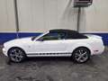 Ford Mustang 4.0 Wit - thumbnail 9