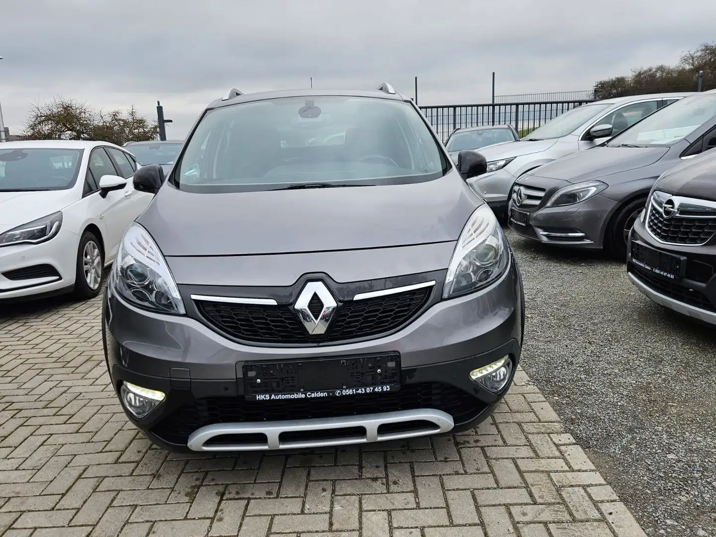 Renault Scenic III BOSE Edition - 2