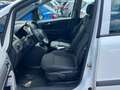 Opel Zafira Zafira B Selection 110 Jahre/7Sitzer/Klima/2.Ha Weiß - thumbnail 10