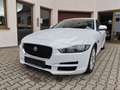 Jaguar XE 20d Automatic Weiß - thumbnail 3