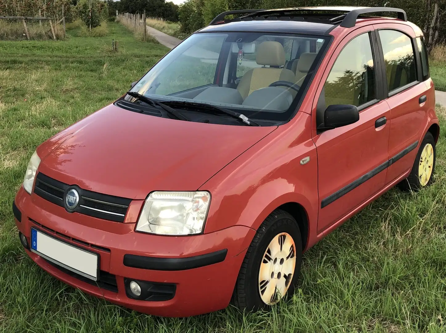 Fiat Panda Panda 1.2 Dynamic Rot - 1
