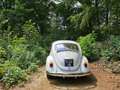 Volkswagen Kever 1200 Beige - thumbnail 10