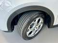 Alfa Romeo Tonale ALFA ROMEO TONALE 1.6 MJT 130 CV SPRINT - 2023 Blanco - thumbnail 27