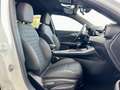 Alfa Romeo Tonale ALFA ROMEO TONALE 1.6 MJT 130 CV SPRINT - 2023 Blanco - thumbnail 18
