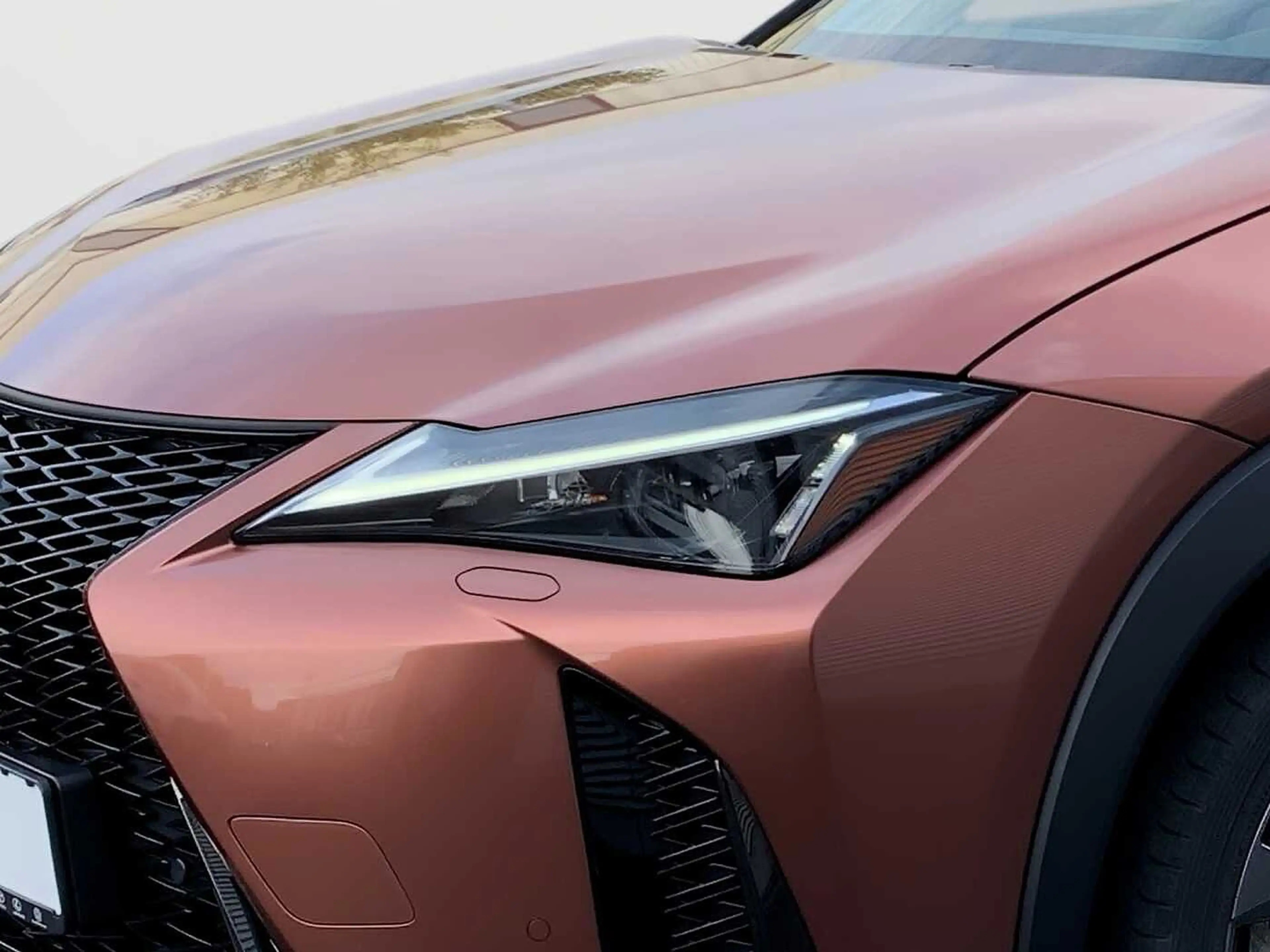 Lexus UX 300h F Sport Design WKR ORIGINAL LEXUS — photo 14