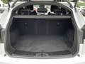 Jaguar E-Pace Diesel D200 AWD R-Dynamic Weiß - thumbnail 15