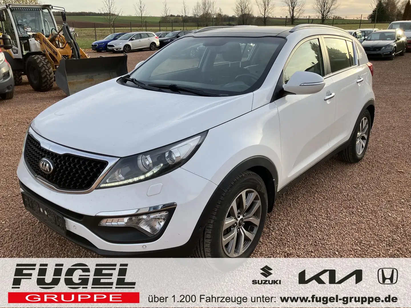 Kia Sportage 1.6 DCT 2WD Klimaaut.|4xSHZ|AHZV Blanc - 1