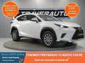 Lexus NX 300 2.5 300h Business Navigation 2WD Blanc - thumbnail 1
