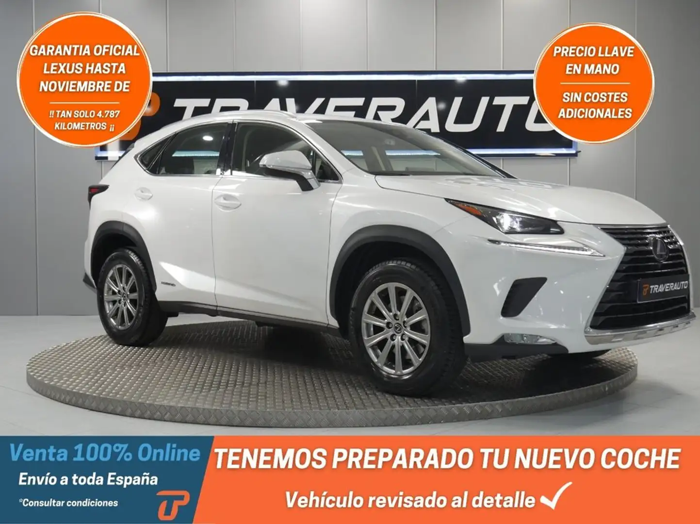 Lexus NX 300 2.5 300h Business Navigation 2WD Blanc - 1