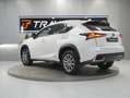 Lexus NX 300 2.5 300h Business Navigation 2WD Blanc - thumbnail 6