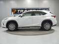 Lexus NX 300 2.5 300h Business Navigation 2WD Blanc - thumbnail 7